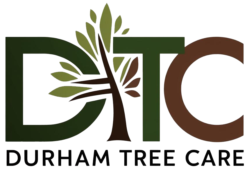 Durham Tree Care logo