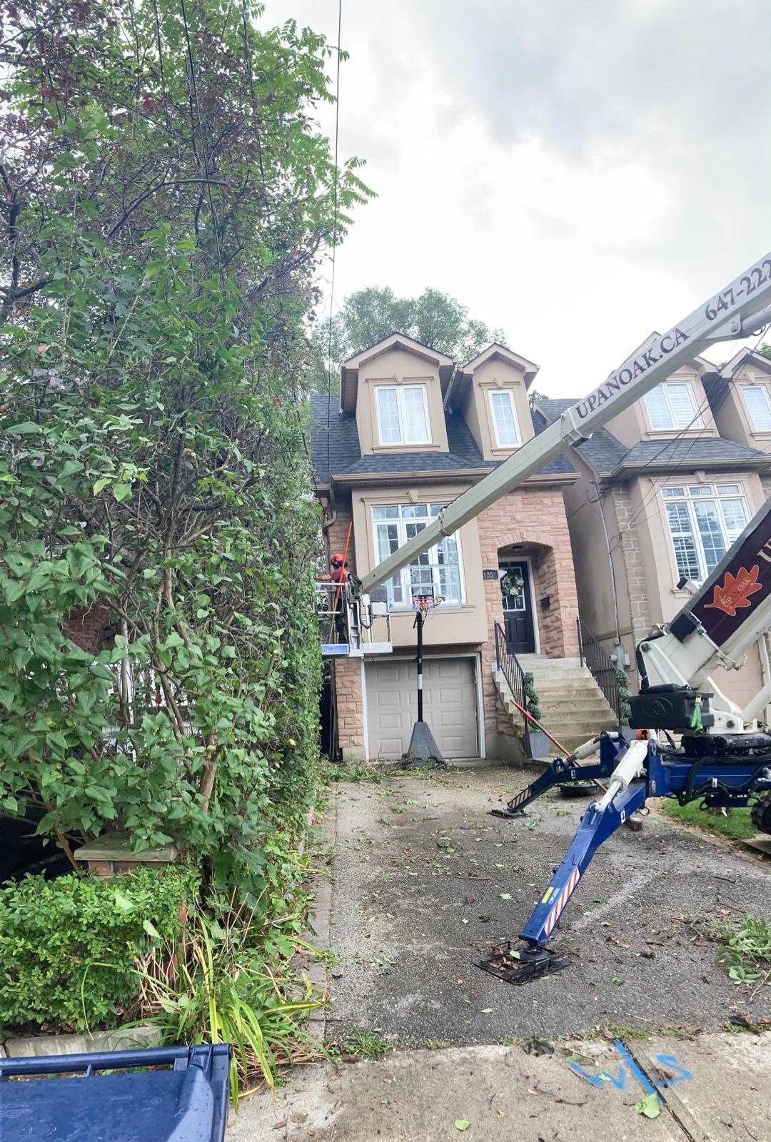 Spider lift reaching over a narrow side yard in Oshawa for canopy work